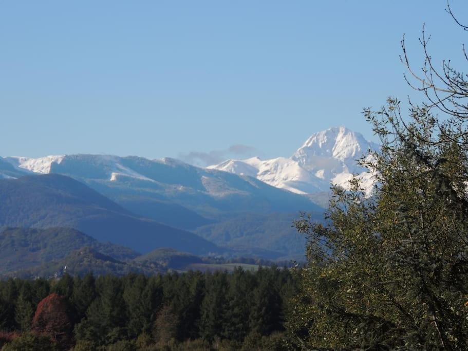 Cabane Dans Les Bois Avec Vue Sur Les Pyrenees Saint-Laurent-de-Neste 外观 照片