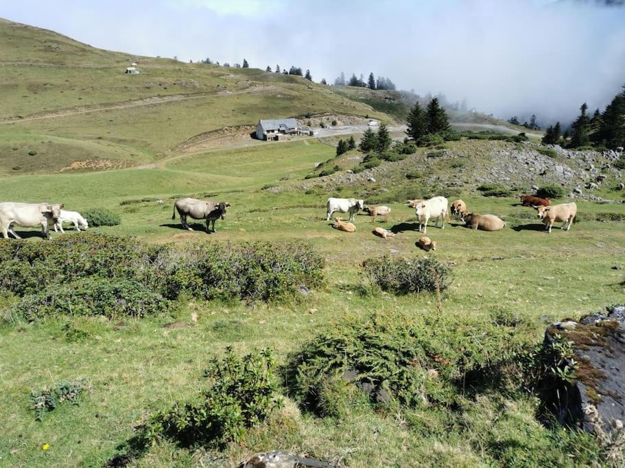 Cabane Dans Les Bois Avec Vue Sur Les Pyrenees Saint-Laurent-de-Neste 外观 照片